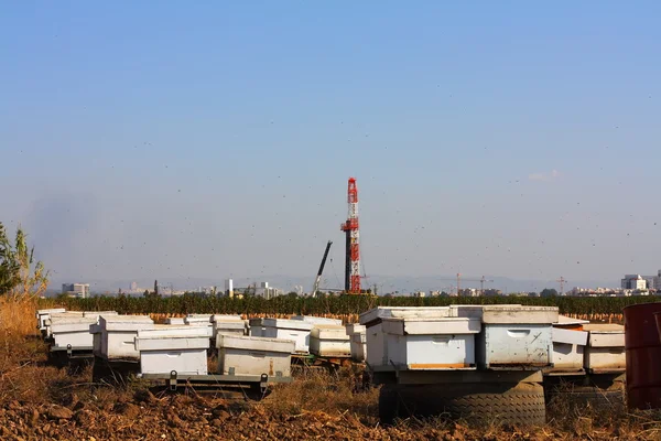 Extraktion från nya fältet gas och honung — Stockfoto