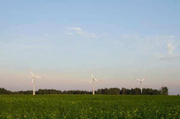 Três moinhos de vento em um campo — Fotografia de Stock