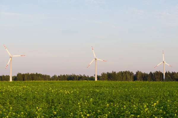 Три вітряні млини в полі з близьким видом — стокове фото