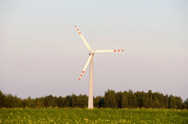 Fechar de um moinho de vento em um campo — Fotografia de Stock