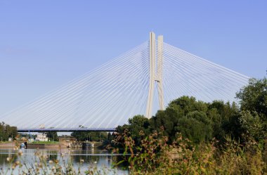 redzinski Köprüsü Wroclaw, Görünümü Kapat