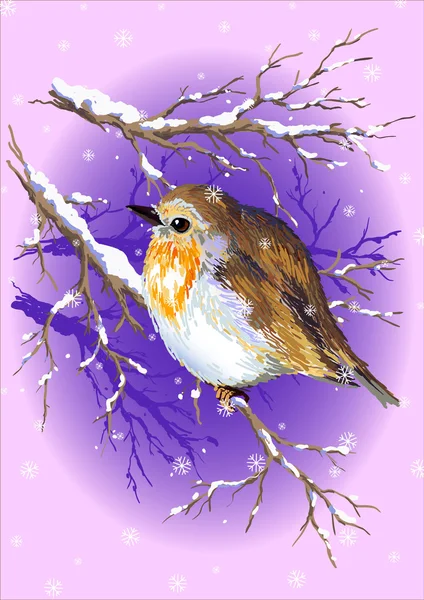 Robin en hiver — Image vectorielle
