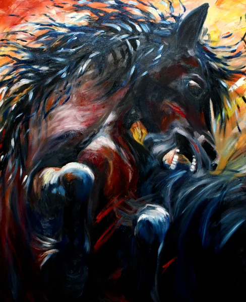 Боевые лошади — стоковое фото