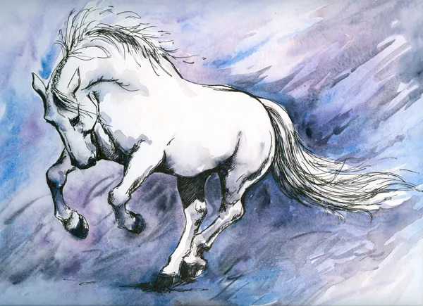 Szalony Koń — Zdjęcie stockowe