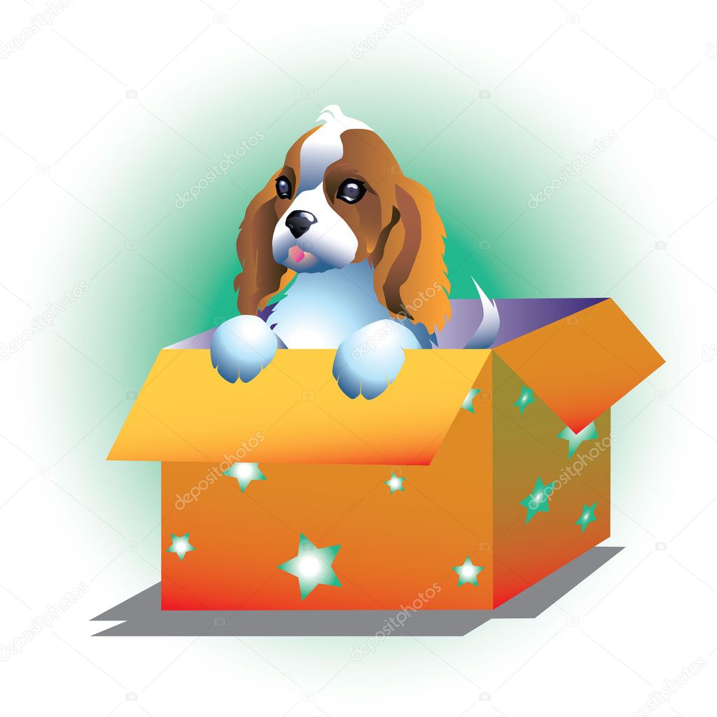 Dog in a box — Stock Vector © DeepGreen 7626904