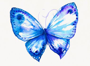 Butterfly clipart