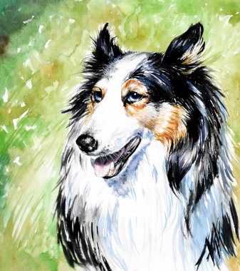 Collie dog clipart