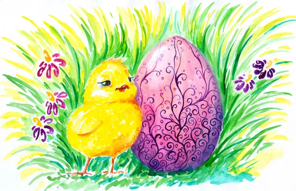 鶏と卵 — ストック写真