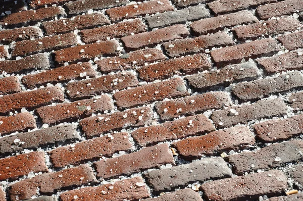 Salted bricks