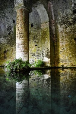 San Gimignano medieval fountain clipart