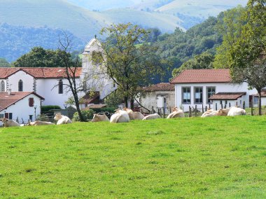 bir köyde basque country, Fransa