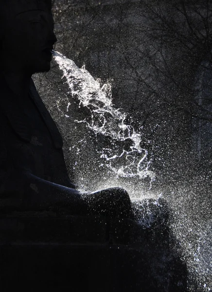Fontana di sfinge — Foto Stock