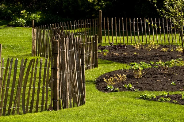 Ein Zaun in einem Garten — Stockfoto