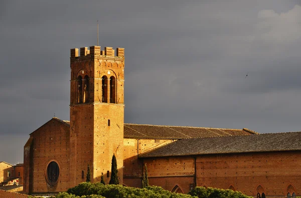 Kirche in siena, italien — Stockfoto
