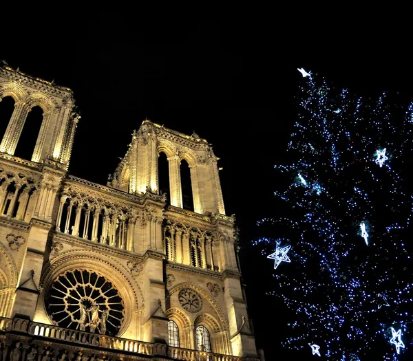 巴黎圣母院巴黎在圣诞节 — 图库照片