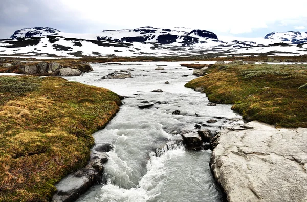 stock image A torrent in Norway