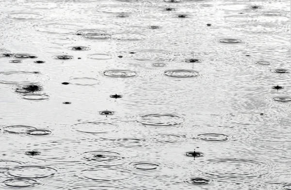 Déšť na povrchu vody — Stock fotografie