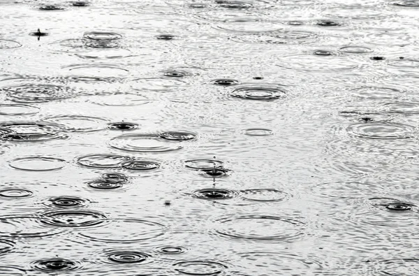 Regentropfen auf der Wasseroberfläche — Stockfoto