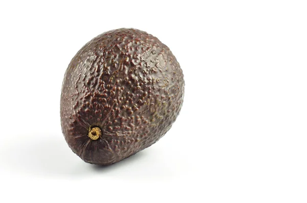 stock image Avocado