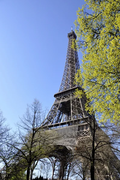 De toren van eiffel — Stockfoto