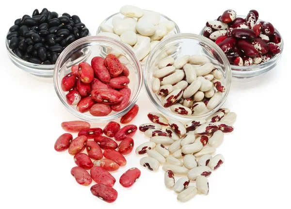 Different varieties of beans — Stock Photo, Image