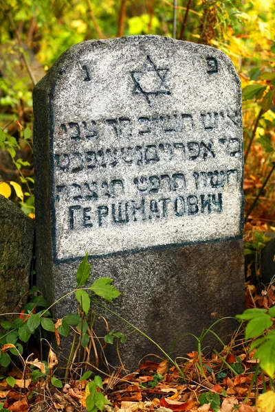 Одинокий надгробие на еврейском кладбище в окружении травы — стоковое фото