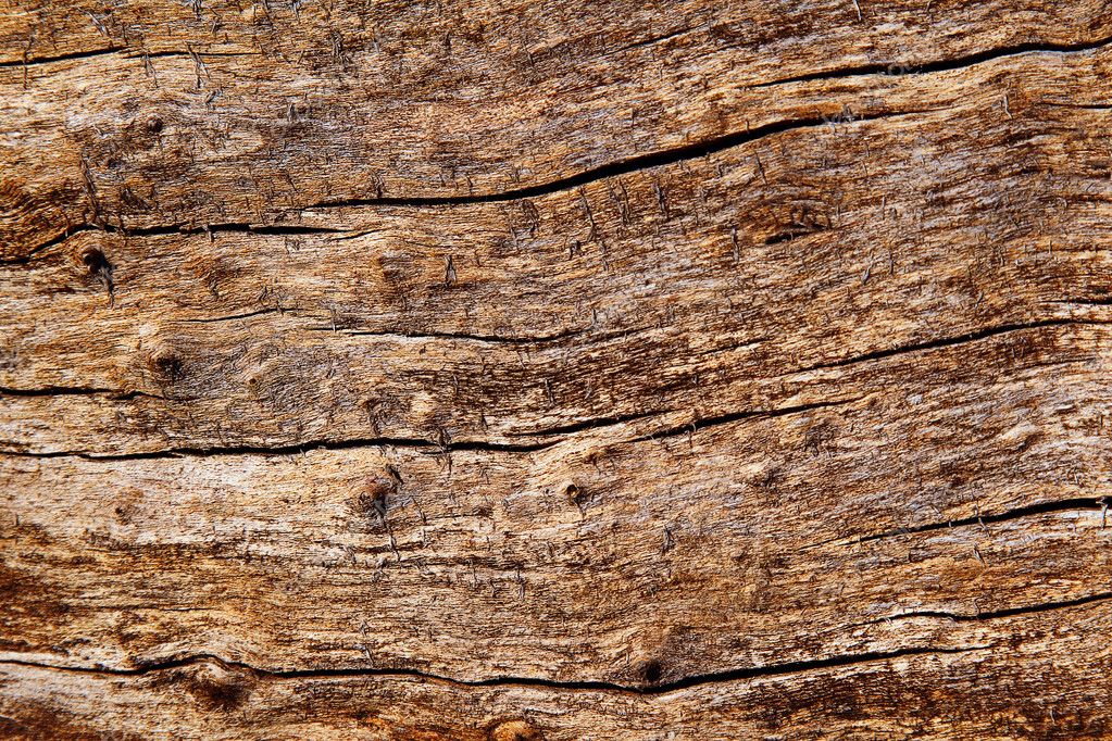 Surface texture of the old rotten wood — Stock Photo © ALesik #7371418