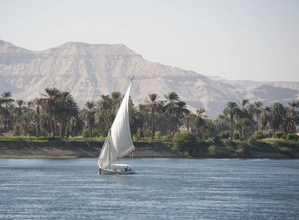 Sailing felluca on the river Nile — Stock Photo, Image