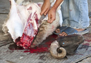 Sheep being traditionally killed for the Eid festival clipart