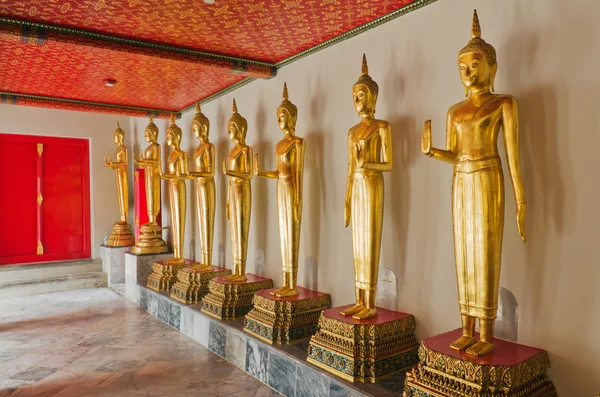 Многие из золотой статуи Будды стоят — стоковое фото