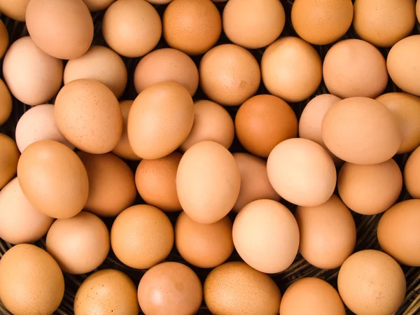 Top view of egg — Stock Photo, Image