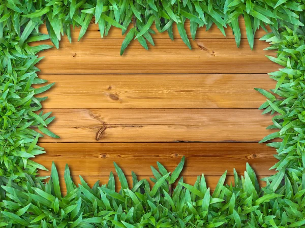Quadro de grama verde na madeira — Fotografia de Stock