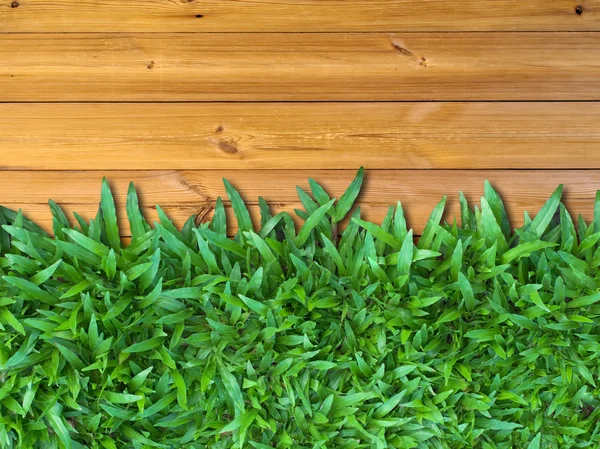 Unter grünem Gras auf Holz — Stockfoto