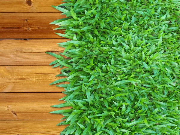 Rechts grünes Gras auf Holz — Stockfoto