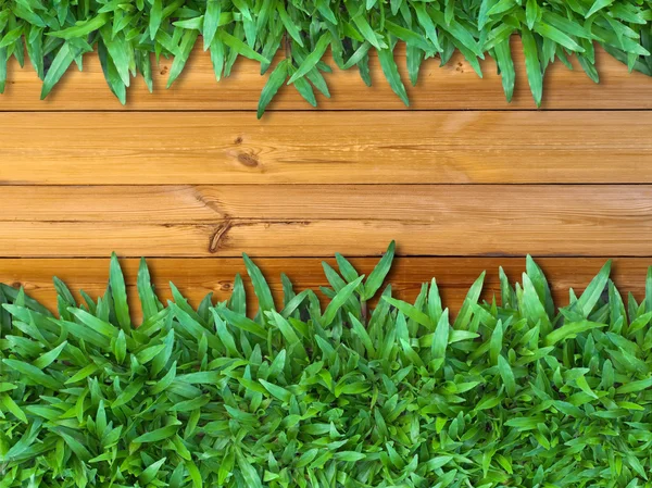 More Below Green Grass on Wood — Stock Photo, Image
