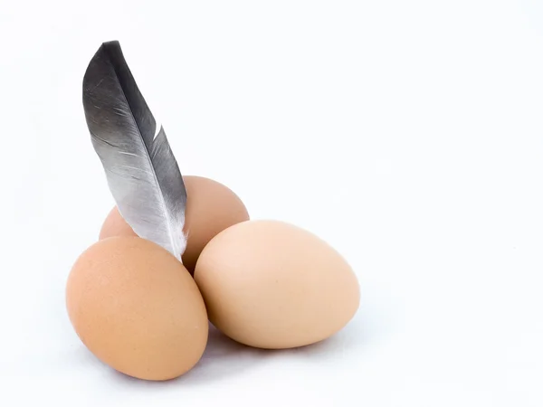 Trois œufs avec plume de poulet sur blanc — Photo