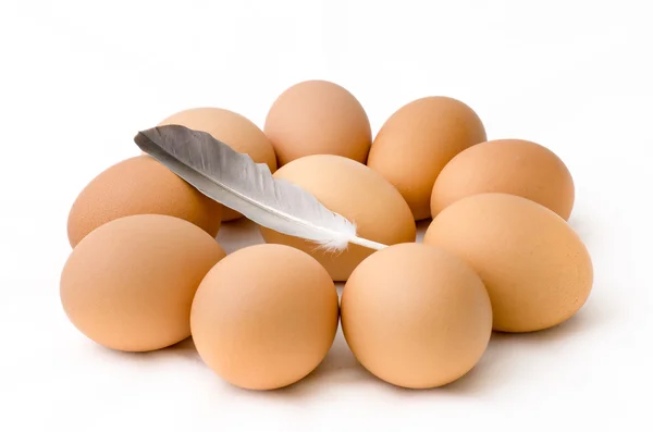 Egg arranged in circle and chicken feather — Stock Photo, Image
