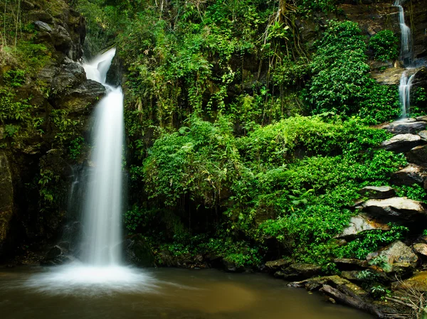 The beauty of a waterfall — Stock Photo, Image