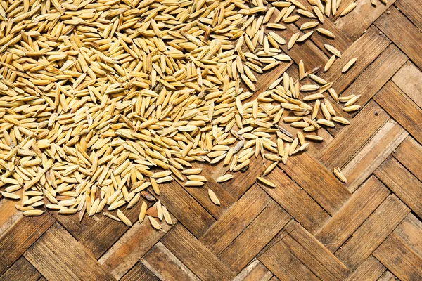 stock image Paddy on a basket