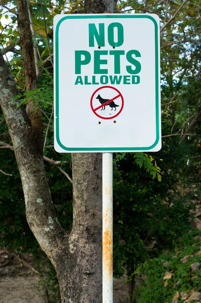 Inga Husdjur tillåtna gröna och vita tecken — Stockfoto