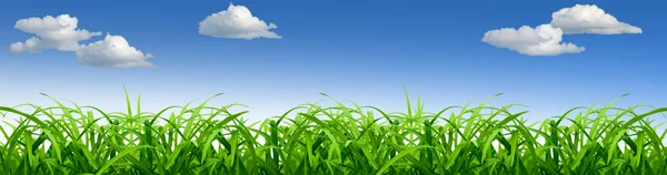 Świeża trawa zielony i niebieski niebo z chmurami — Zdjęcie stockowe