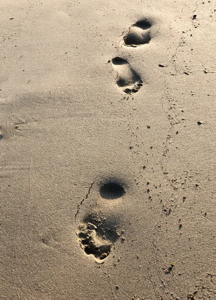 stock image Footstep