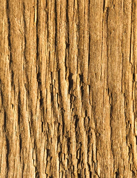 纹理的木材 — 图库照片