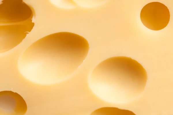 stock image Maasdam cheese