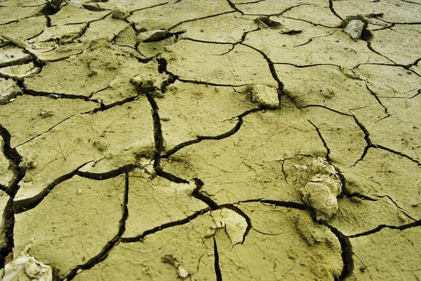 Deserto seco — Fotografia de Stock
