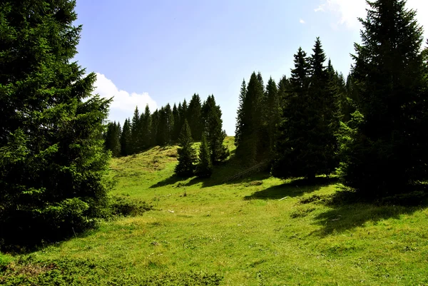 Alpine plateau — Stock Photo, Image