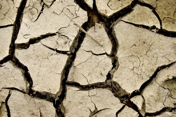 Deserto seco — Fotografia de Stock