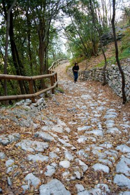 Dağlardaki Yol