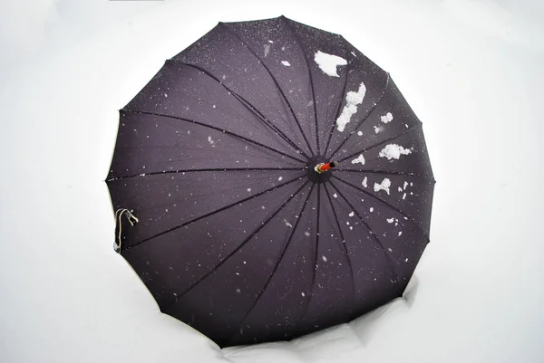 傘の雪 — ストック写真