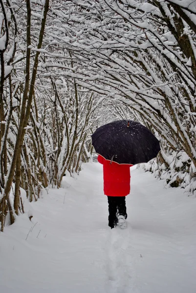 Walking in the snow — Stock Photo, Image